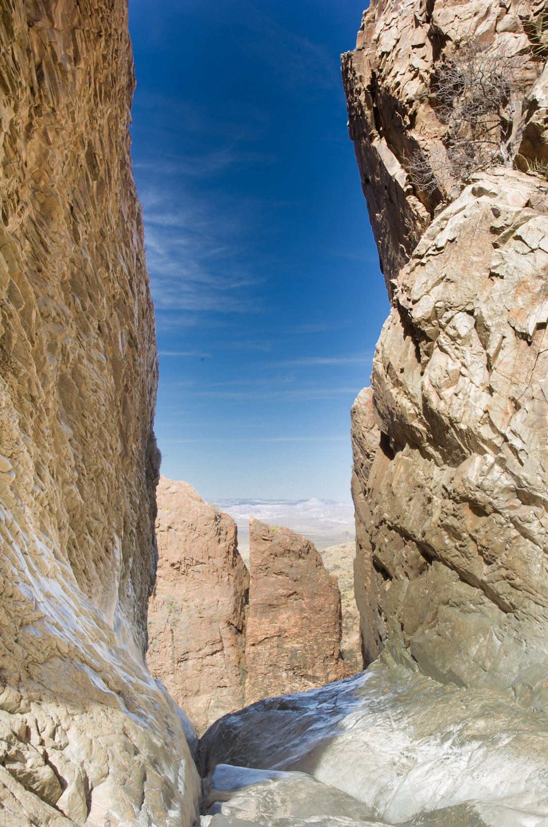bigbend (21 of 28).jpg